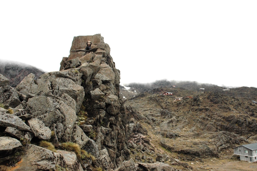 Meads Wall, Mt Ruapehu